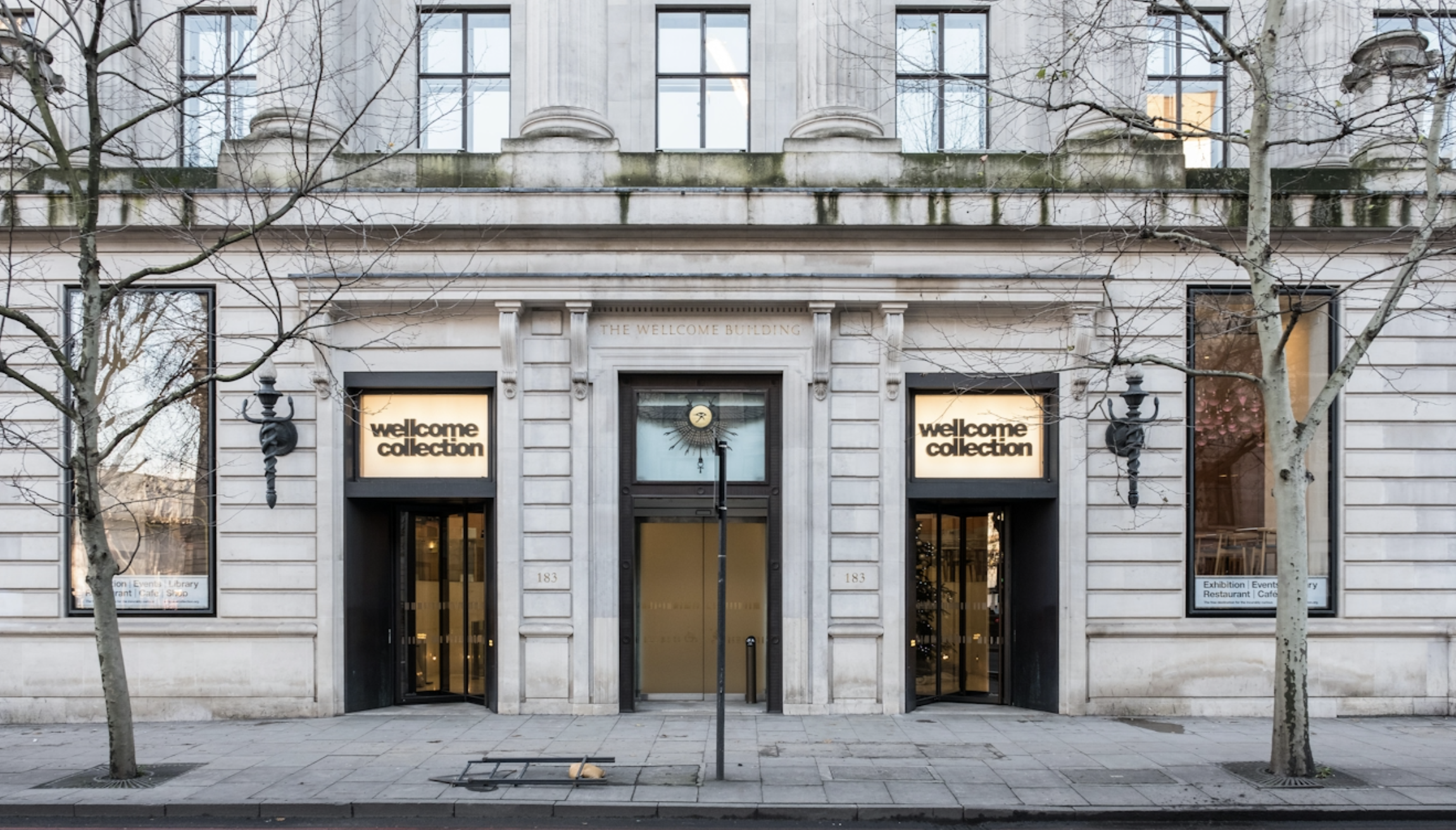 Things to Do Near Euston in Winter 