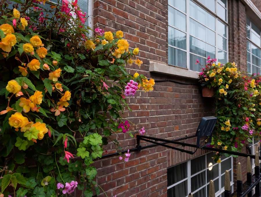 Flowers on the exterior of The Wesley