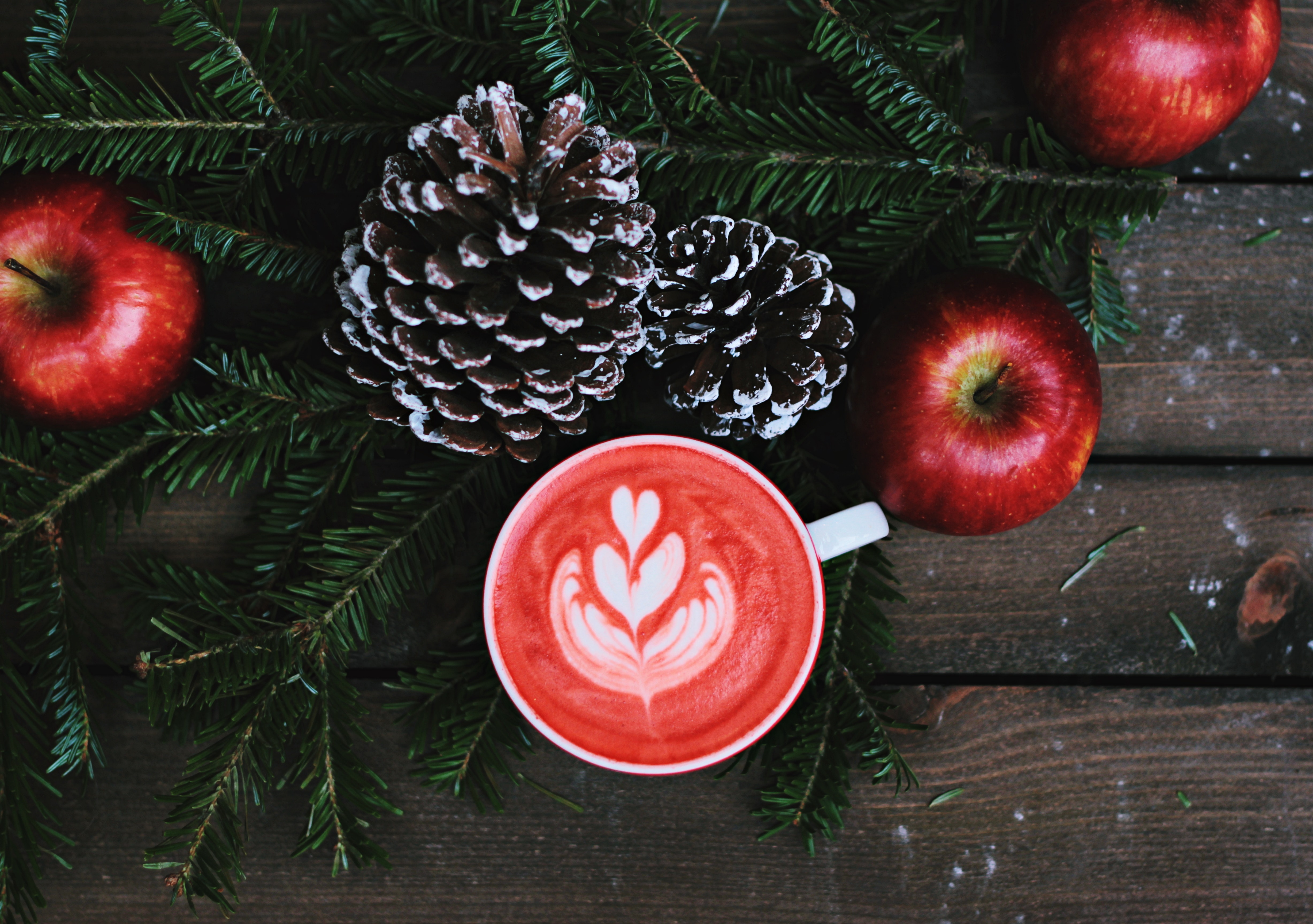A red latte in a mug by a Christmas Tree